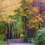 Quinnipiac River Linear Trail is nearby at Hall Avenue & River Road